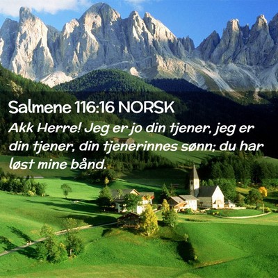Picture 02 - Salmene 116:16 NORSK - Akk Herre! Jeg er jo din tjener, jeg er din - Bible Verse Picture