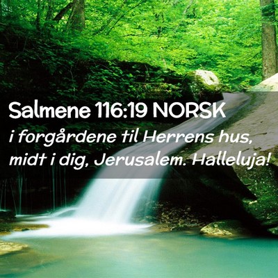 Picture 02 - Salmene 116:19 NORSK - i forgårdene til Herrens hus, midt i dig, - Bible Verse Picture