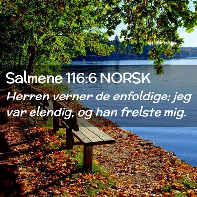 Picture 02 - Salmene 116:6 NORSK - Herren verner de enfoldige; jeg var elendig, og - Bible Verse Picture