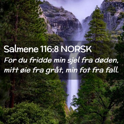 Picture 02 - Salmene 116:8 NORSK - For du fridde min sjel fra døden, mitt øie fra - Bible Verse Picture