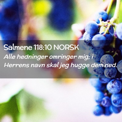 Picture 02 - Salmene 118:10 NORSK - Alle hedninger omringer mig; i Herrens navn skal - Bible Verse Picture