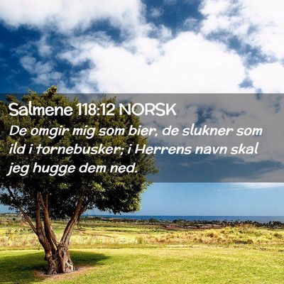 Picture 02 - Salmene 118:12 NORSK - De omgir mig som bier, de slukner som ild i - Bible Verse Picture