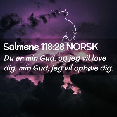 Picture 02 - Salmene 118:28 NORSK - Du er min Gud, og jeg vil love dig, min Gud, jeg - Bible Verse Picture