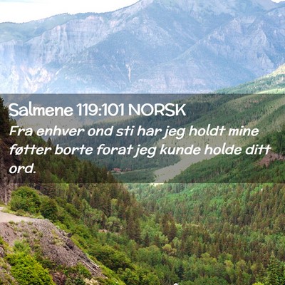 Picture 02 - Salmene 119:101 NORSK - Fra enhver ond sti har jeg holdt mine føtter - Bible Verse Picture
