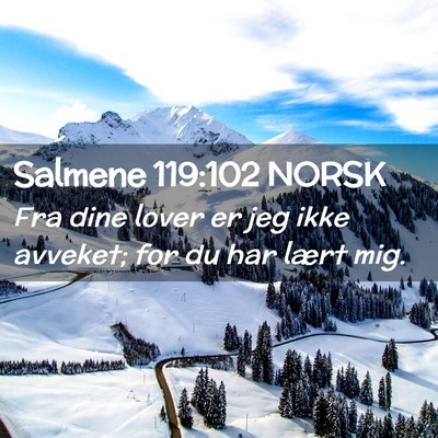 Picture 02 - Salmene 119:102 NORSK - Fra dine lover er jeg ikke avveket; for du har - Bible Verse Picture