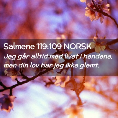 Picture 02 - Salmene 119:109 NORSK - Jeg går alltid med livet i hendene, men din lov - Bible Verse Picture