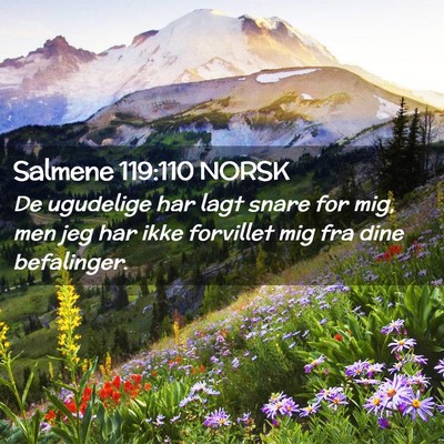 Picture 02 - Salmene 119:110 NORSK - De ugudelige har lagt snare for mig, men jeg har - Bible Verse Picture