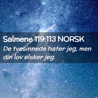 Picture 02 - Salmene 119:113 NORSK - De tvesinnede hater jeg, men din lov elsker - Bible Verse Picture