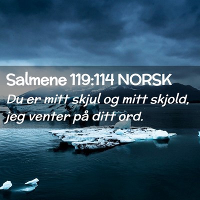 Picture 02 - Salmene 119:114 NORSK - Du er mitt skjul og mitt skjold, jeg venter på - Bible Verse Picture