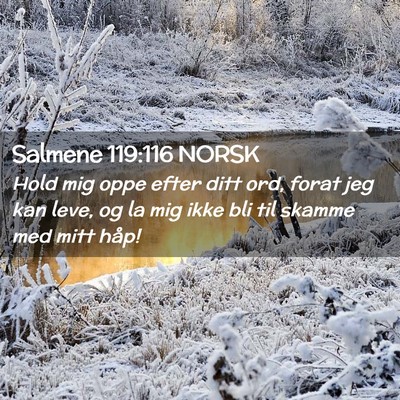 Picture 02 - Salmene 119:116 NORSK - Hold mig oppe efter ditt ord, forat jeg kan leve, - Bible Verse Picture