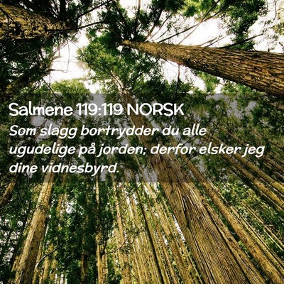 Picture 02 - Salmene 119:119 NORSK - Som slagg bortrydder du alle ugudelige på - Bible Verse Picture