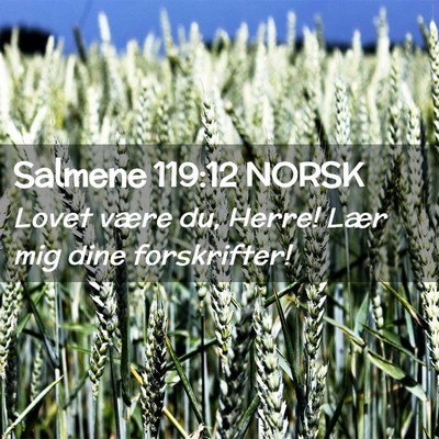Picture 02 - Salmene 119:12 NORSK - Lovet være du, Herre! Lær mig dine - Bible Verse Picture