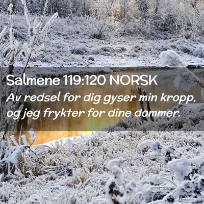 Picture 02 - Salmene 119:120 NORSK - Av redsel for dig gyser min kropp, og jeg frykter - Bible Verse Picture