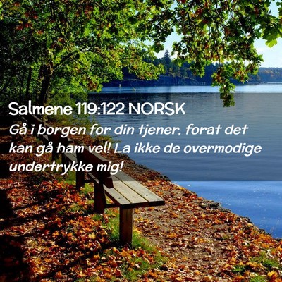Picture 02 - Salmene 119:122 NORSK - Gå i borgen for din tjener, forat det kan gå - Bible Verse Picture