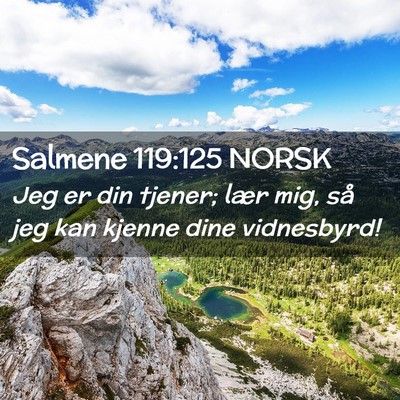 Picture 02 - Salmene 119:125 NORSK - Jeg er din tjener; lær mig, så jeg kan kjenne - Bible Verse Picture