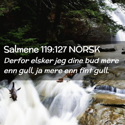 Picture 02 - Salmene 119:127 NORSK - Derfor elsker jeg dine bud mere enn gull, ja mere - Bible Verse Picture