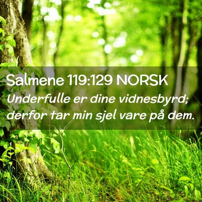 Picture 02 - Salmene 119:129 NORSK - Underfulle er dine vidnesbyrd; derfor tar min - Bible Verse Picture