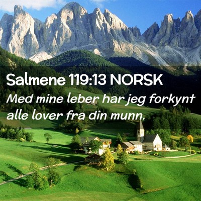Picture 02 - Salmene 119:13 NORSK - Med mine leber har jeg forkynt alle lover fra din - Bible Verse Picture