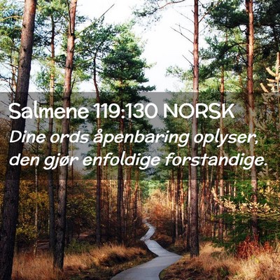 Picture 02 - Salmene 119:130 NORSK - Dine ords åpenbaring oplyser, den gjør - Bible Verse Picture