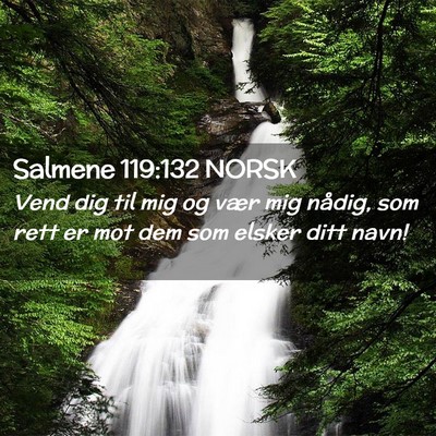 Picture 02 - Salmene 119:132 NORSK - Vend dig til mig og vær mig nådig, som rett er - Bible Verse Picture