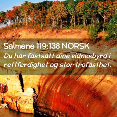 Picture 02 - Salmene 119:138 NORSK - Du har fastsatt dine vidnesbyrd i rettferdighet - Bible Verse Picture