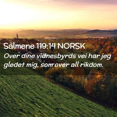 Picture 02 - Salmene 119:14 NORSK - Over dine vidnesbyrds vei har jeg gledet mig, som - Bible Verse Picture