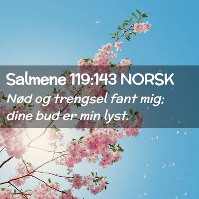 Picture 02 - Salmene 119:143 NORSK - Nød og trengsel fant mig; dine bud er min - Bible Verse Picture