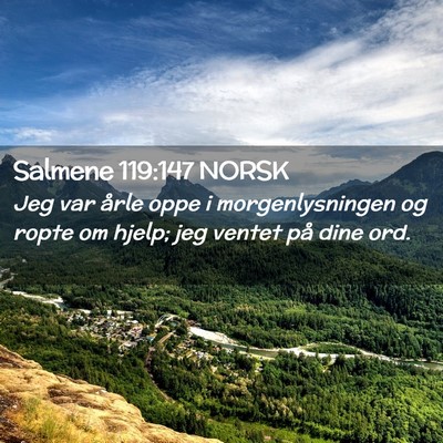Picture 02 - Salmene 119:147 NORSK - Jeg var årle oppe i morgenlysningen og ropte om - Bible Verse Picture