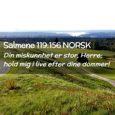 Picture 02 - Salmene 119:156 NORSK - Din miskunnhet er stor, Herre; hold mig i live - Bible Verse Picture