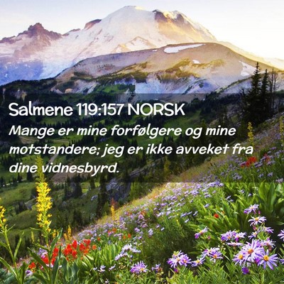 Picture 02 - Salmene 119:157 NORSK - Mange er mine forfølgere og mine motstandere; - Bible Verse Picture