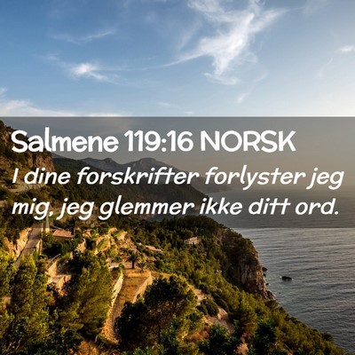 Picture 02 - Salmene 119:16 NORSK - I dine forskrifter forlyster jeg mig, jeg glemmer - Bible Verse Picture