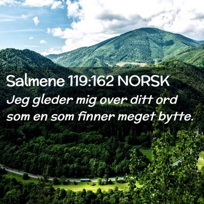 Picture 02 - Salmene 119:162 NORSK - Jeg gleder mig over ditt ord som en som finner - Bible Verse Picture