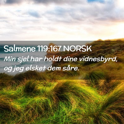 Picture 02 - Salmene 119:167 NORSK - Min sjel har holdt dine vidnesbyrd, og jeg elsket - Bible Verse Picture