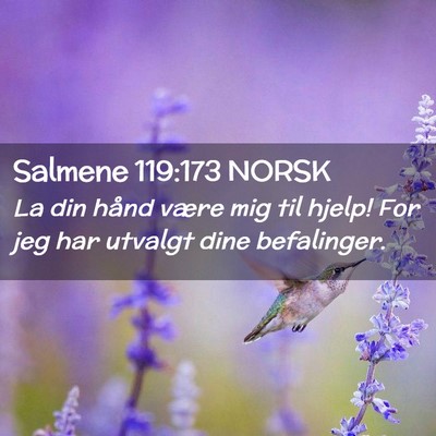 Picture 02 - Salmene 119:173 NORSK - La din hånd være mig til hjelp! For jeg har - Bible Verse Picture