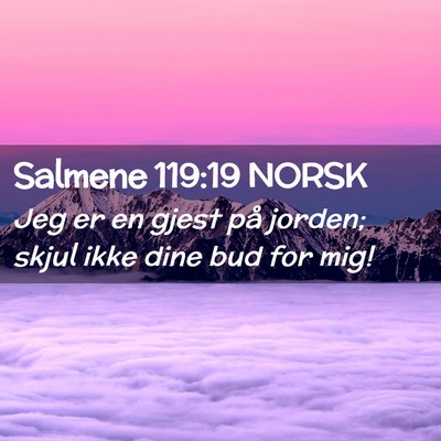 Picture 02 - Salmene 119:19 NORSK - Jeg er en gjest på jorden; skjul ikke dine bud - Bible Verse Picture