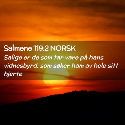 Picture 02 - Salmene 119:2 NORSK - Salige er de som tar vare på hans vidnesbyrd, - Bible Verse Picture