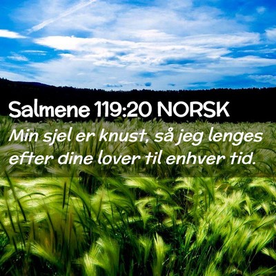 Picture 02 - Salmene 119:20 NORSK - Min sjel er knust, så jeg lenges efter dine - Bible Verse Picture