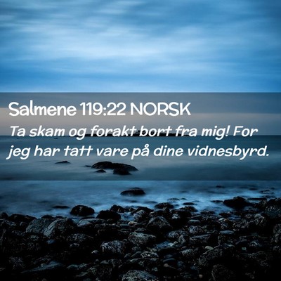 Picture 02 - Salmene 119:22 NORSK - Ta skam og forakt bort fra mig! For jeg har tatt - Bible Verse Picture