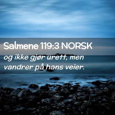 Picture 02 - Salmene 119:3 NORSK - og ikke gjør urett, men vandrer på hans - Bible Verse Picture