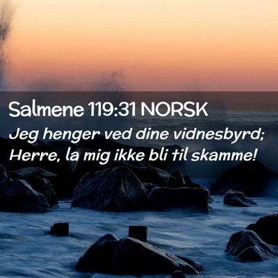 Picture 02 - Salmene 119:31 NORSK - Jeg henger ved dine vidnesbyrd; Herre, la mig - Bible Verse Picture
