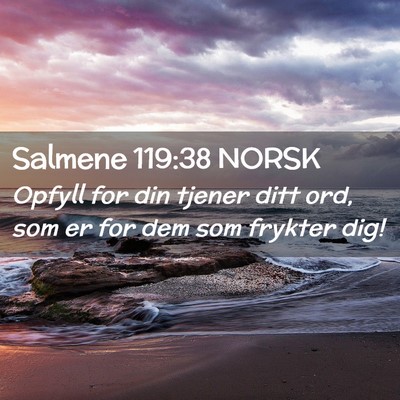 Picture 02 - Salmene 119:38 NORSK - Opfyll for din tjener ditt ord, som er for dem - Bible Verse Picture