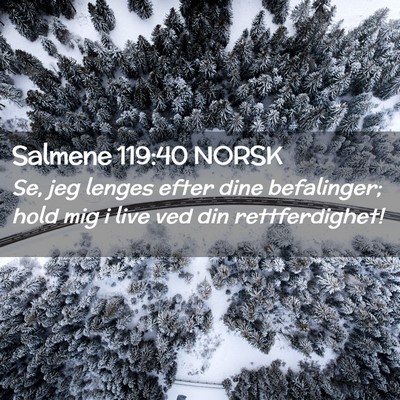 Picture 02 - Salmene 119:40 NORSK - Se, jeg lenges efter dine befalinger; hold mig i - Bible Verse Picture