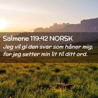 Picture 02 - Salmene 119:42 NORSK - Jeg vil gi den svar som håner mig; for jeg - Bible Verse Picture