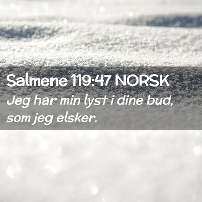 Picture 02 - Salmene 119:47 NORSK - Jeg har min lyst i dine bud, som jeg - Bible Verse Picture