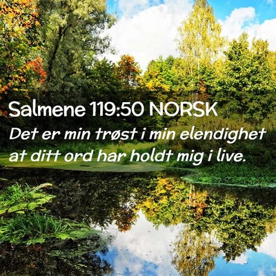 Picture 02 - Salmene 119:50 NORSK - Det er min trøst i min elendighet at ditt ord - Bible Verse Picture