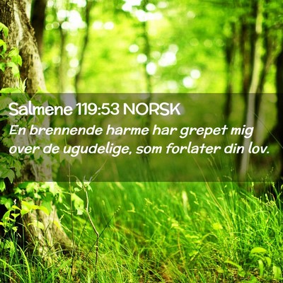 Picture 02 - Salmene 119:53 NORSK - En brennende harme har grepet mig over de - Bible Verse Picture