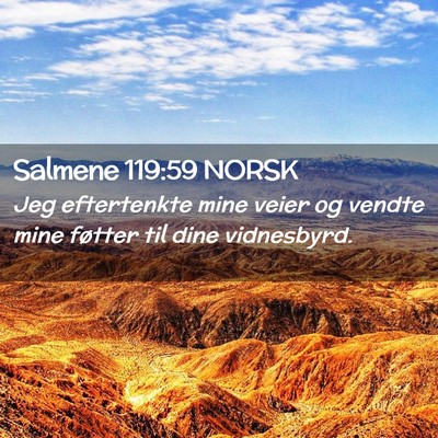 Picture 02 - Salmene 119:59 NORSK - Jeg eftertenkte mine veier og vendte mine føtter - Bible Verse Picture