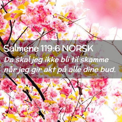 Picture 02 - Salmene 119:6 NORSK - Da skal jeg ikke bli til skamme når jeg gir akt - Bible Verse Picture