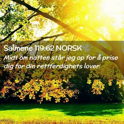 Picture 02 - Salmene 119:62 NORSK - Midt om natten står jeg op for å prise dig for - Bible Verse Picture