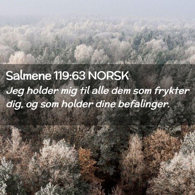 Picture 02 - Salmene 119:63 NORSK - Jeg holder mig til alle dem som frykter dig, og - Bible Verse Picture